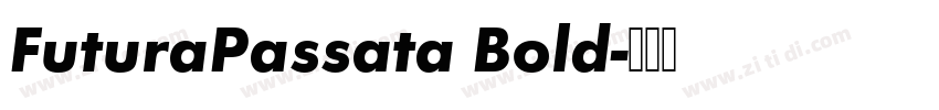 FuturaPassata Bold字体转换